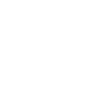 Tracking Icon